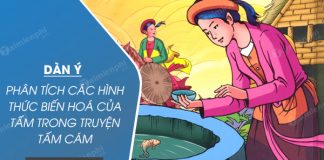 dan y phan tich cac hinh thuc bien hoa trong truyen tam cam