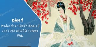 dan y phan tich tinh canh le loi cua nguoi chinh phu