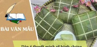 dan y thuyet minh ve banh chung