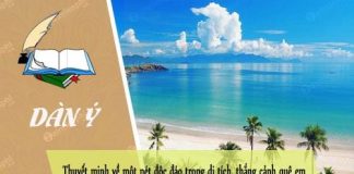 dan y thuyet minh ve mot net dac sac trong di tich thang canh que em