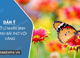 dan y triet li nhan sinh trong bai tho voi vang cua xuan dieu