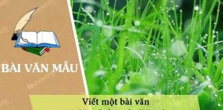 dan y viet mot bai van noi len ve dep cua loai co