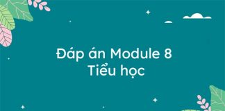 Đáp án Module 8 Tiểu học: Phối hợp giữa nhà trường, gia đình và xã hội để thực hiện giáo dục đạo đức, lối sống cho học sinh trường tiểu học.