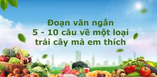 Viết một đoạn văn tả một loại quả mà em thích lớp 4 ngắn gọn, hay nhất