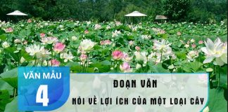 Viết một đoạn văn nói về lợi ích của một loài cây mà em biết lớp 4 hay nhất