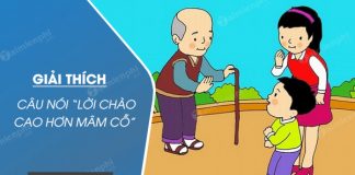 giai thich cau noi loi chao cao hon mam co