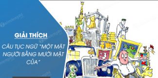 giai thich cau tuc ngu mot mat nguoi bang muoi mat cua