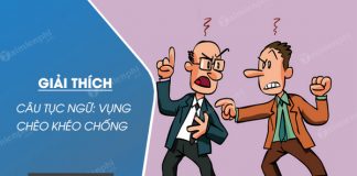 giai thich cau tuc ngu vung cheo kheo chong