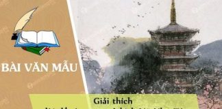 giai thich loi de tu trong vo kich vu nhu to