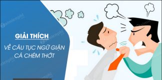 giai thich ve cau tuc ngu gian ca chem thot