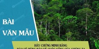 hay chung minh rang bao ve rung bao ve cuoc song cua chung ta