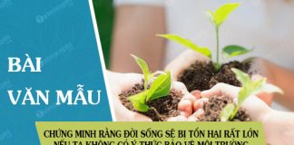 hay chung minh rang doi song cua chung ta se bi ton hai rat lon neu moi nguoi khong co y thuc bao ve moi truong song