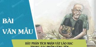 hay phan tich nhan vat lao hac trong tac pham cung ten