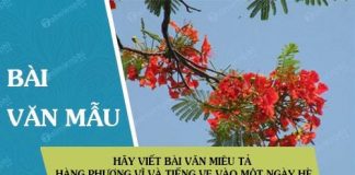 hay viet bai van mieu ta hang phuong vi va tieng ve vao mot ngay he