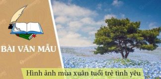 hinh anh mua xuan tuoi tre tinh yeu trong voi vang mua xuan chin