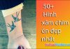 Hình xăm chim én đẹp nhất