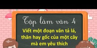 Viết một đoạn văn tả lá, thân hoặc gốc của một cây mà em yêu thích.