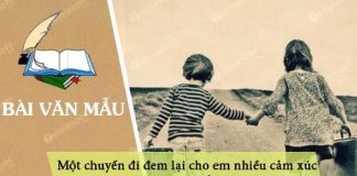 ke ve mot chuyen di dem lai cho em nhieu cam xuc co su dung cac yeu to bieu cam va mieu ta