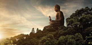 Quan hệ giữa con người và thiên nhiên qua góc nhìn Phật giáo