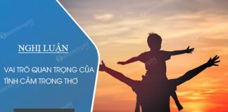 nghi luan ve van hoc vai tro quan trong cua tinh cam trong tho