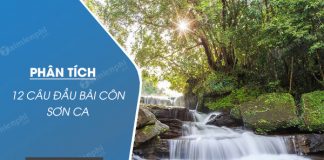 phan tich 12 cau dau bai con son ca