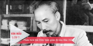 phan tich bai duc tinh gian di cua bac ho