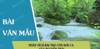 phan tich bai tho con son ca cua nguyen trai