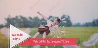 phan tich bai tho luom cua to huu