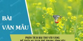 phan tich bai tho voi vang de thay su tuoi tre trong tinh yeu