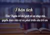 phan tich tuyen bo the gioi ve su song con quyen duoc bao ve va phat trien cua tre em