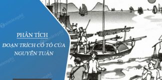 phan tich doan trich co to cua nguyen tuan