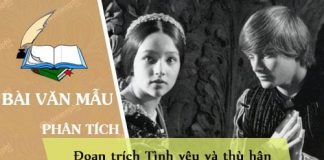 phan tich doan trich tinh yeu va thu han