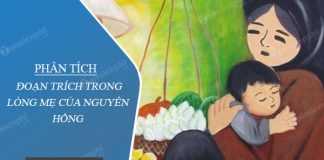 phan tich doan trich trong long me cua nguyen hong