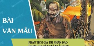 phan tich gia tri nhan dao trong truyen ngan lao hac
