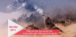 phan tich hinh anh con cho bac trong truyen ngan tieng goi noi hoang da