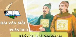 phan tich kho 2 bai binh ngo dai cao