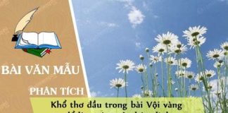 phan tich kho tho dau trong bai voi vang de lam sang to nhan dinh