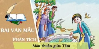 phan tich mau thuan giua tam va me con cam trong tam cam