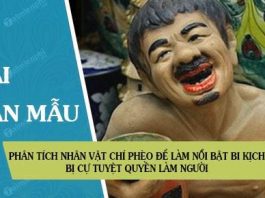 phan tich nhan vat chi pheo de lam noi bat bi kich bi cu tuyet quyen lam nguoi trong truyen ngan cung ten cua nam cao