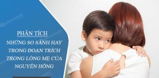 phan tich nhung so sanh hay trong doan trich trong long me cua nguyen hong