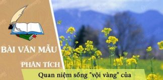 phan tich quan niem song voi vang cua xuan dieu