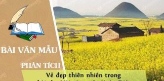 phan tich ve dep thien nhien trong bai tho voi vang cua xuan dieu