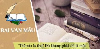 phan tich voi vang de lam sang to nhan dinh the nao la tho do khong phai chi la mot nghe thuat do la su giai thoat cua long toi