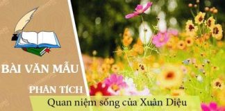 phan tich voi vang de thay quan niem song cua xuan dieu