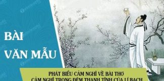 phat bieu cam nghi ve bai tho cam nghi trong dem thanh tinh cua nha tho li bach