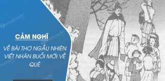 phat bieu cam nghi ve bai tho ngau nhien viet nhan buoi moi ve que