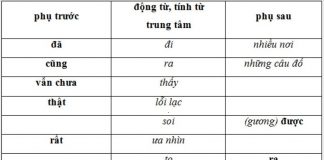 Cách sử dụng phó từ trong tiếng việt