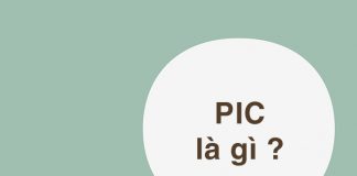 PIC là gì? Tìm hiểu những ý nghĩa đặc biệt của PIC