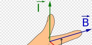 Lý thuyết quy tắc bàn tay trái và bài tập vận dụng - Tung Tăng Mua Sắm