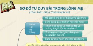 so do tu duy cua bai trong long me